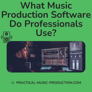 what music production software do professionals use? And how does the choice of software reflect the genre and style preferences?